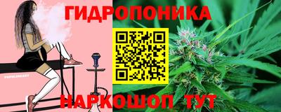 шишки Будённовск