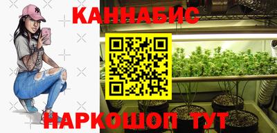 шишки Будённовск