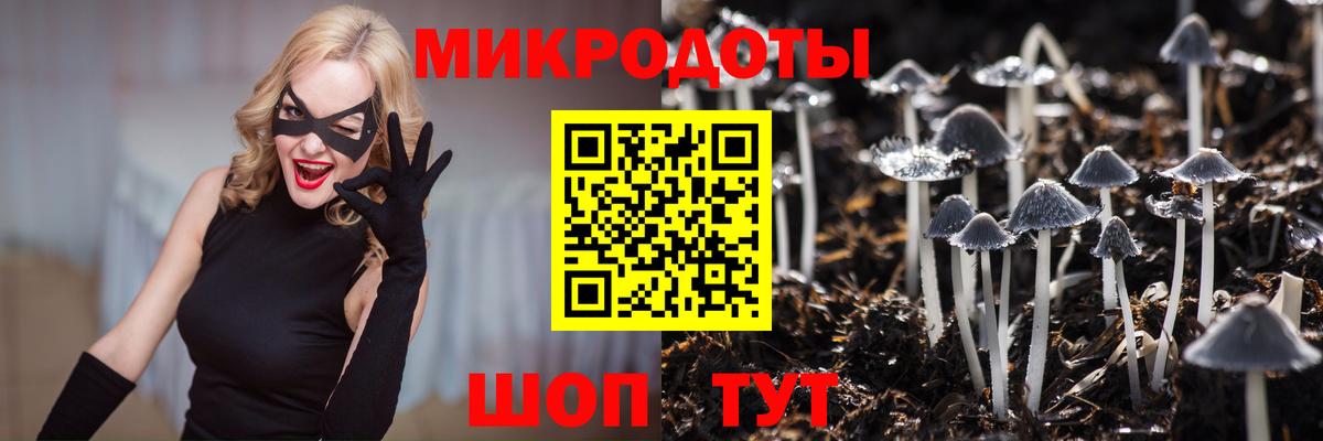 Шарыпово  Галлюциногенные грибы Psilocybe  Вход с VPN 